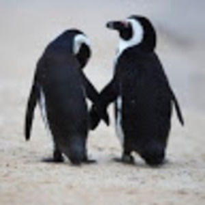 Meet your Posher, Sofia